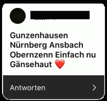 Feedback Gunzenhausen | Project Germany