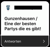 Feedback Gunzenhausen Party | Project Germany